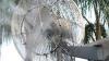 Outdoor Misting Fans & Cooler Dubai