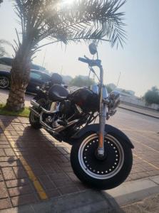 Harley Davidson Fatboy (Terminator Style)