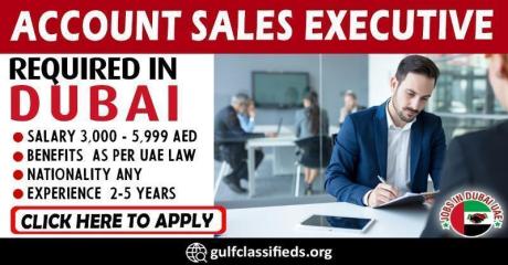 ACCOUNT SALES EXECUTIVE REQUIRED IN DUBAI