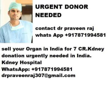 sell your kidney for money very urgnetly