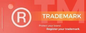 BUSINESS SETUP AND TRADEMARK REGISTRATION