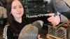 Hand Reared African Grey Parrots For Sale.