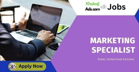 CRM & Lifecycle Marketing Manager