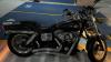 HARLEY DAVIDSON FXDF