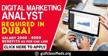 DIGITAL MARKETING ANALYST REQUIRE IN DUBAI